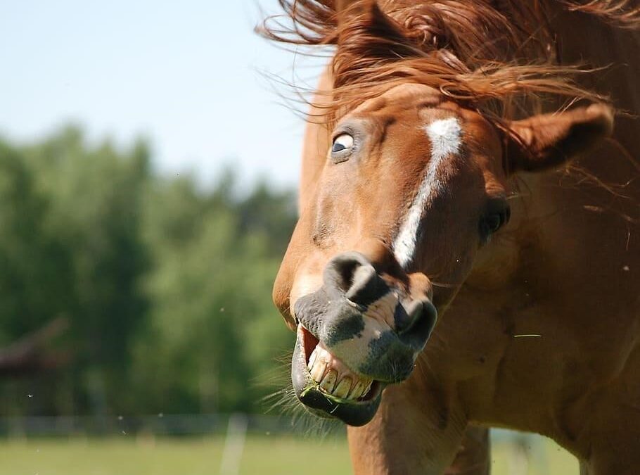 How to Choose a Web Development Company Without Losing Your Sanity